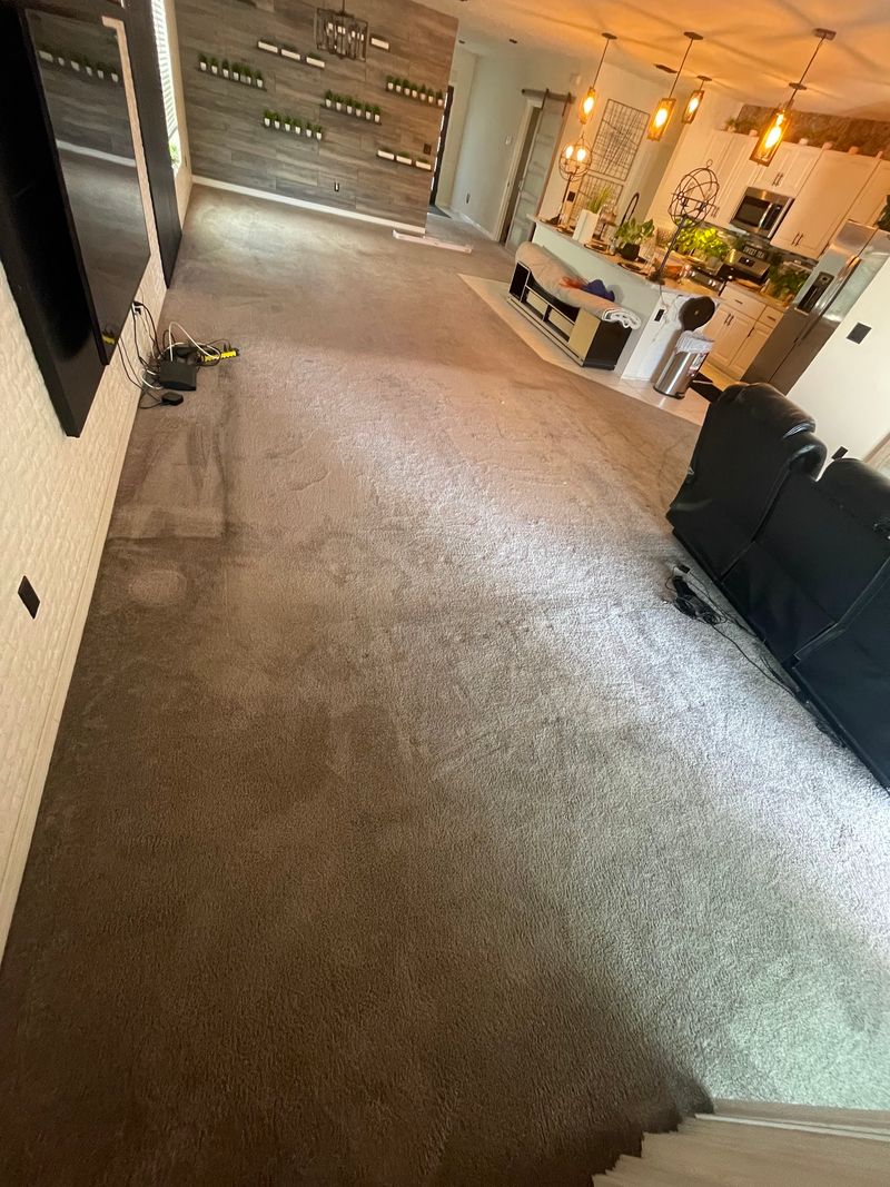 Open living room with worn gray carpet before replacement