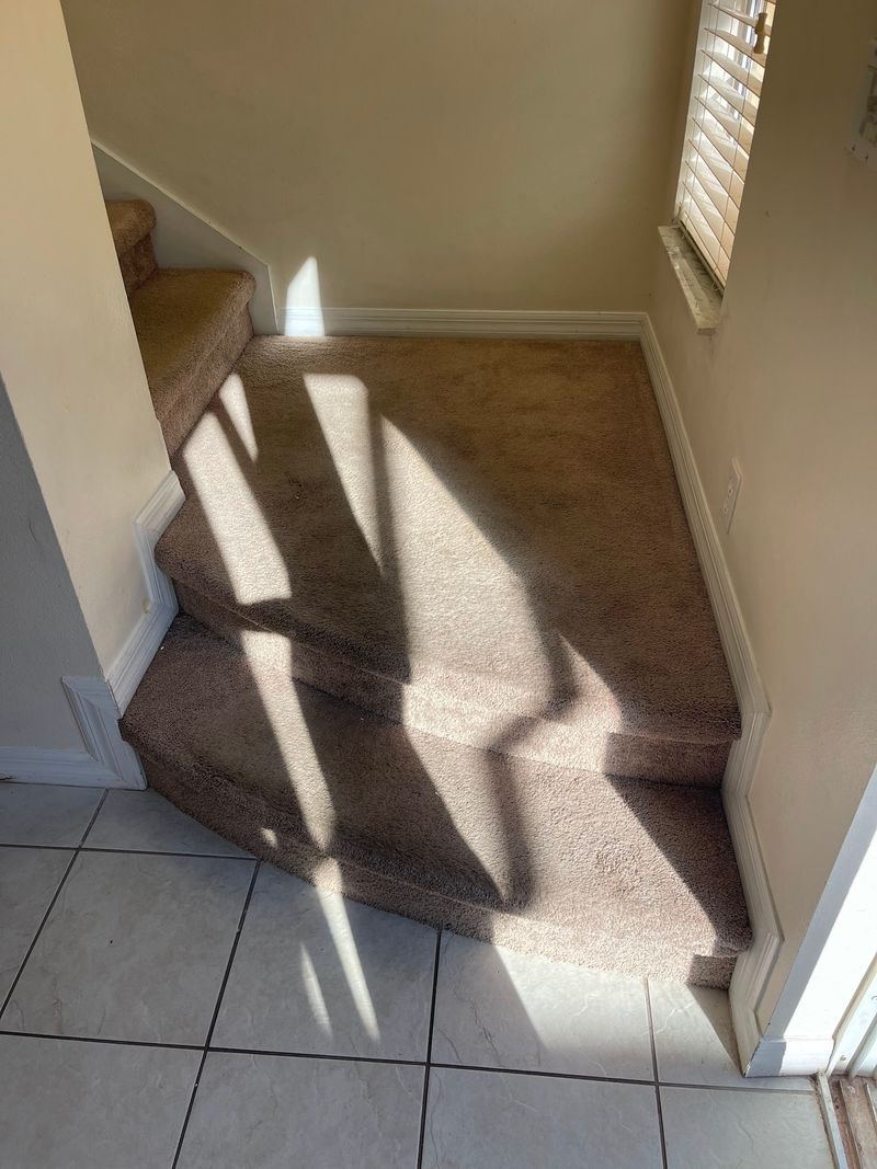 Carpeted stair landing and bottom steps beside a beige tile entry
